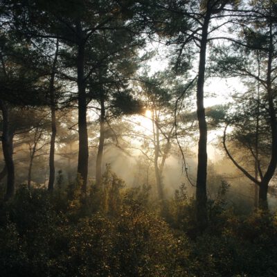 Every material has a story. Every space is a container for memories.